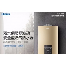 Haier/海爾 熱水器 JSQ31-16V6(12T)